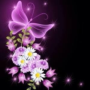 Meet your Posher, Wendy